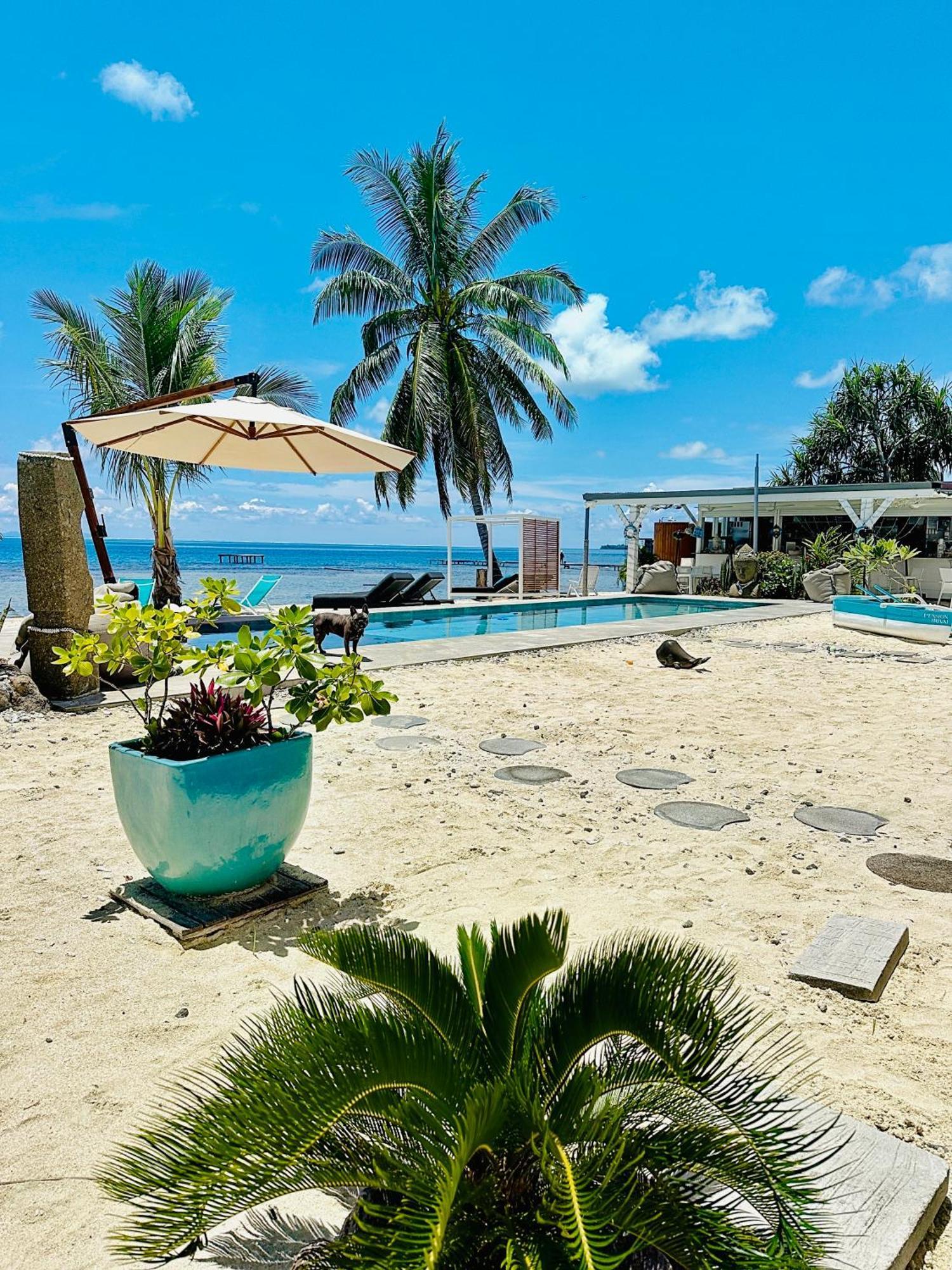 Pension Irivai Appartement Puatou 1 Chambre Bord De Mer อุตูโรอา ภายนอก รูปภาพ