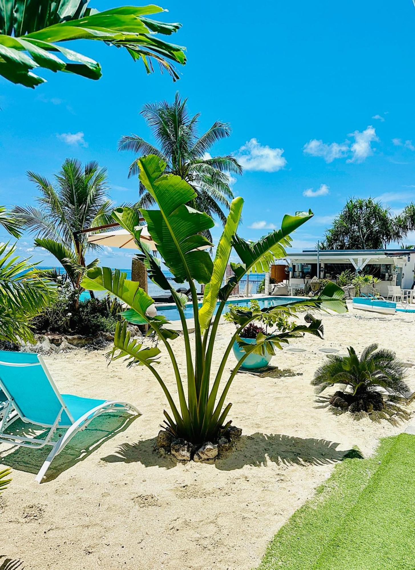 Pension Irivai Appartement Puatou 1 Chambre Bord De Mer อุตูโรอา ภายนอก รูปภาพ